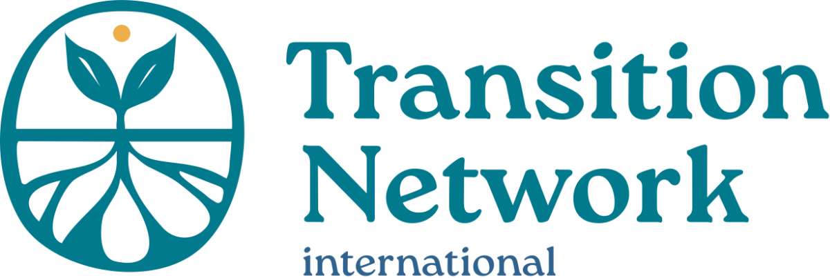 Transition Network International Logo